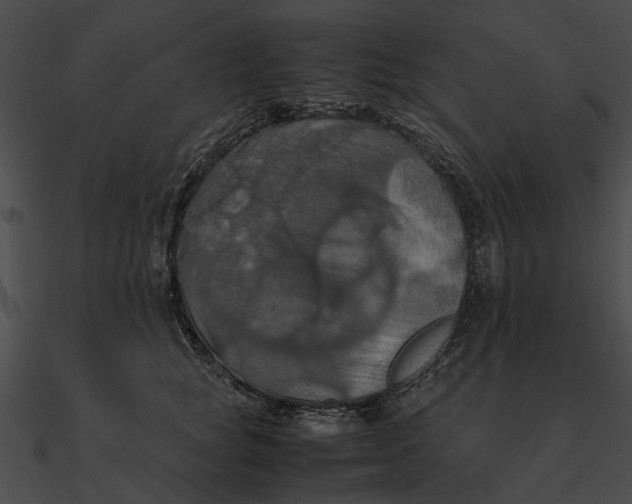 X0000090490757200708031146