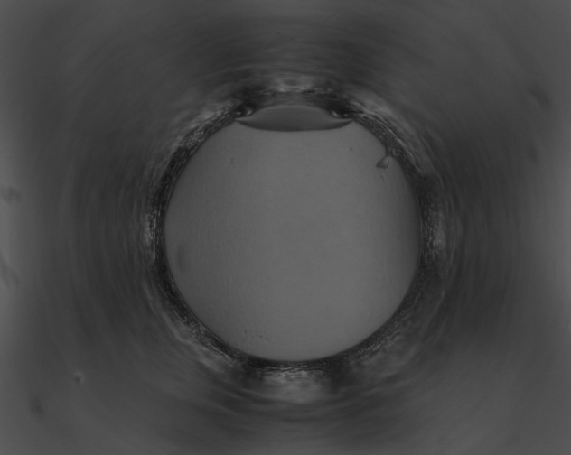 X0000090490759200708031146