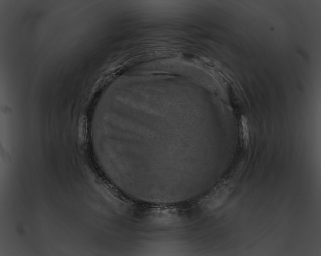 X0000090490760200708031146