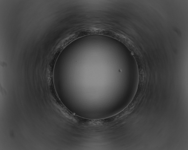 X0000090490762200708031146