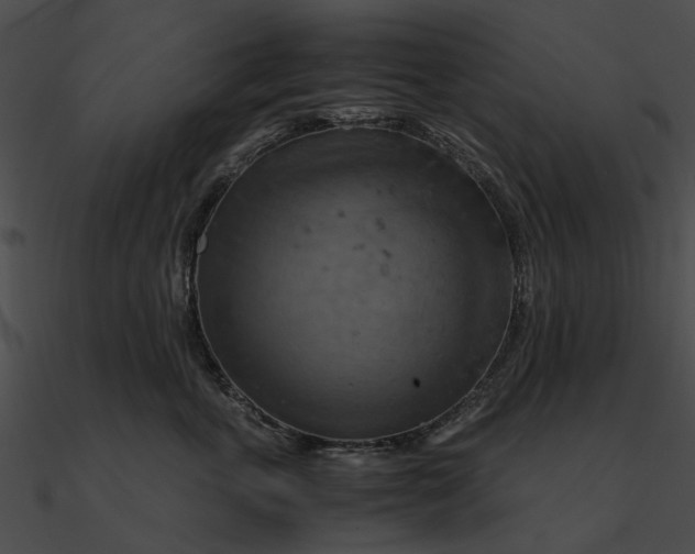 X0000090490763200708031146