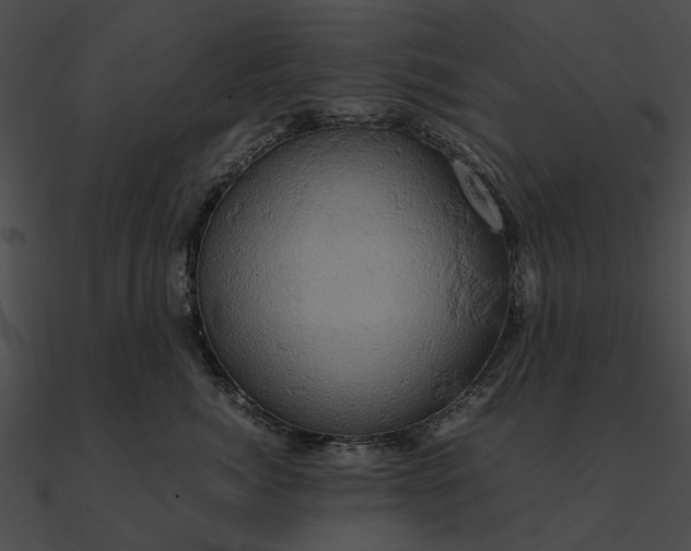 X0000090490764200708031146