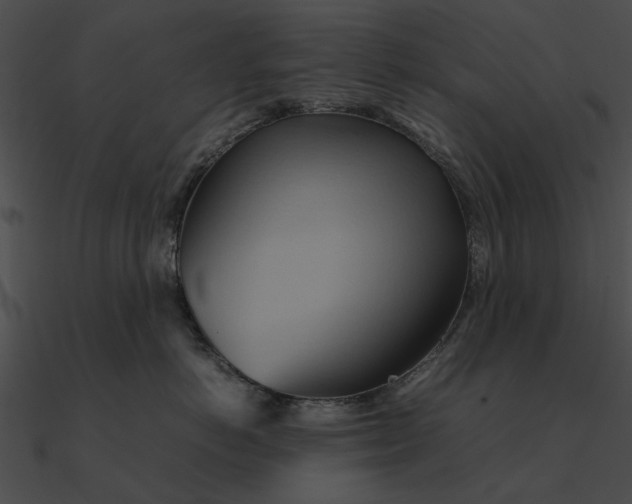 X0000090490766200708031146