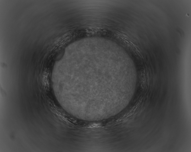 X0000090490770200708031146