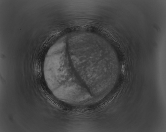 X0000090490771200708031146