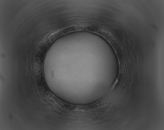 X0000090490773200708031146