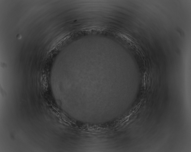 X0000090490774200708031146