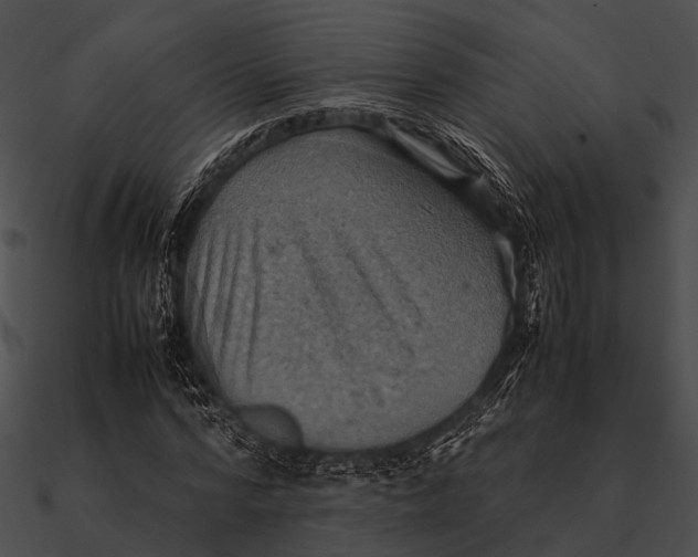 X0000090490776200708031146