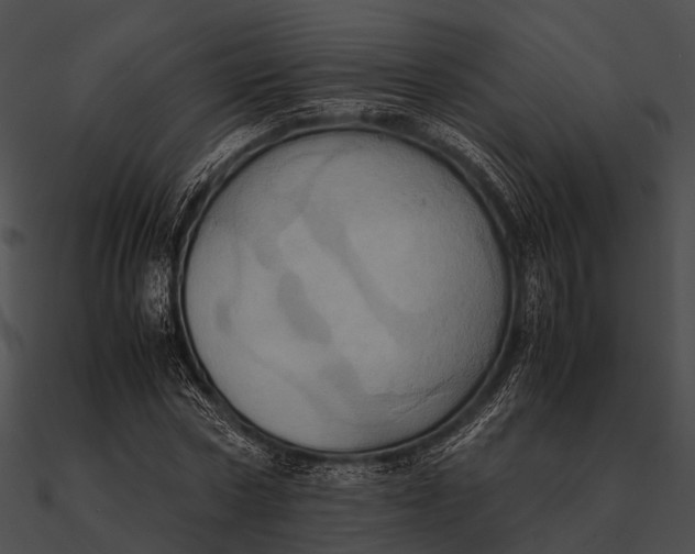 X0000090490778200708031146