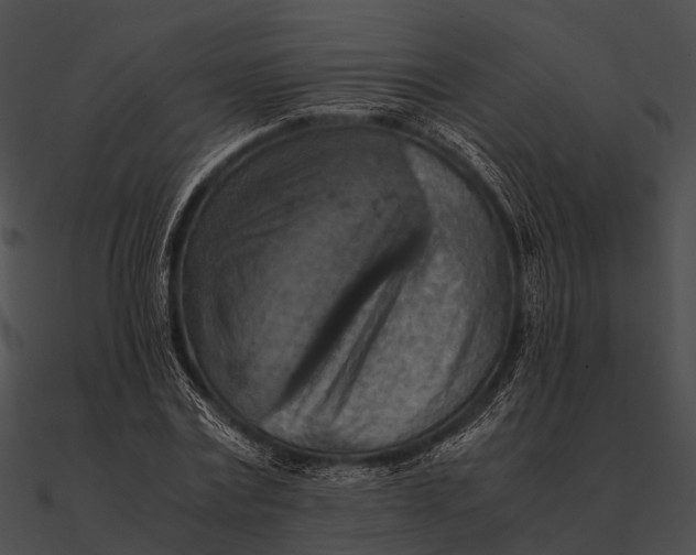 X0000090490779200708031146