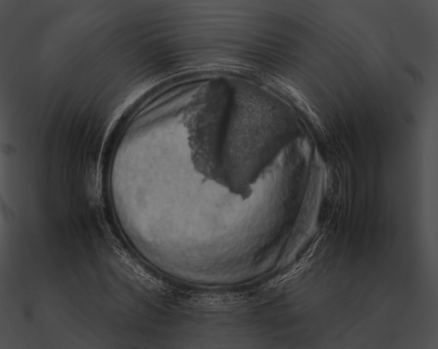 X0000090490780200708031146