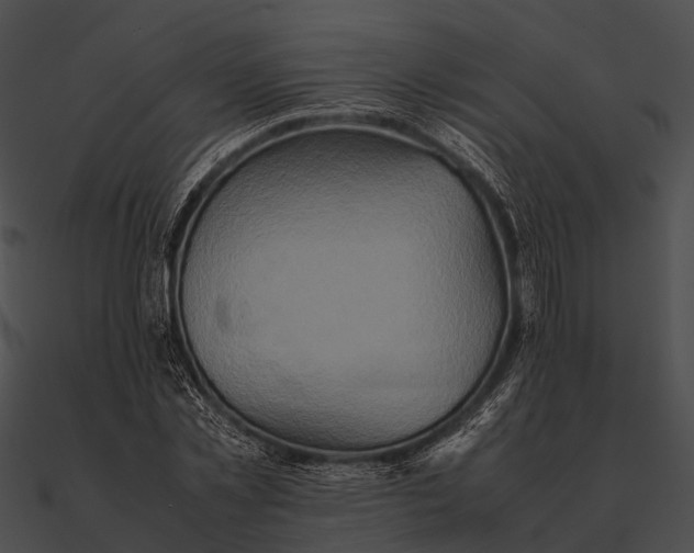 X0000090490781200708031146