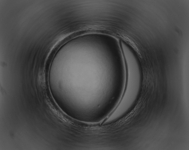 X0000090490784200708031146