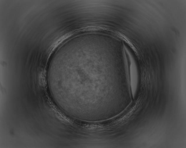 X0000090490786200708031146