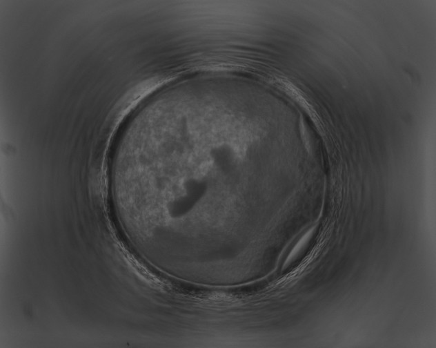 X0000090490787200708031146