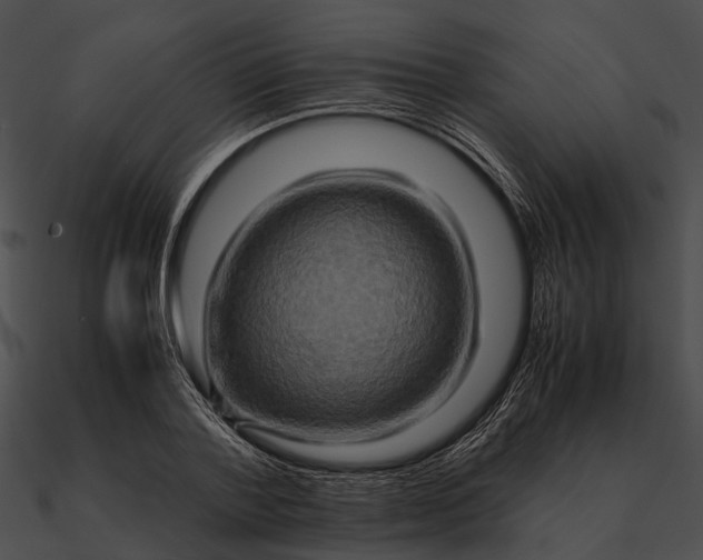 X0000090490788200708031146