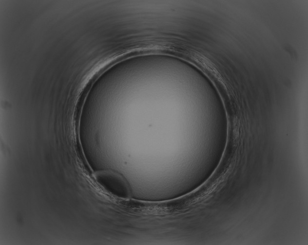 X0000090490789200708031146