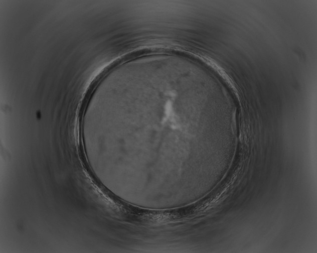 X0000090490791200708031146