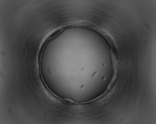 X0000090490792200708031146