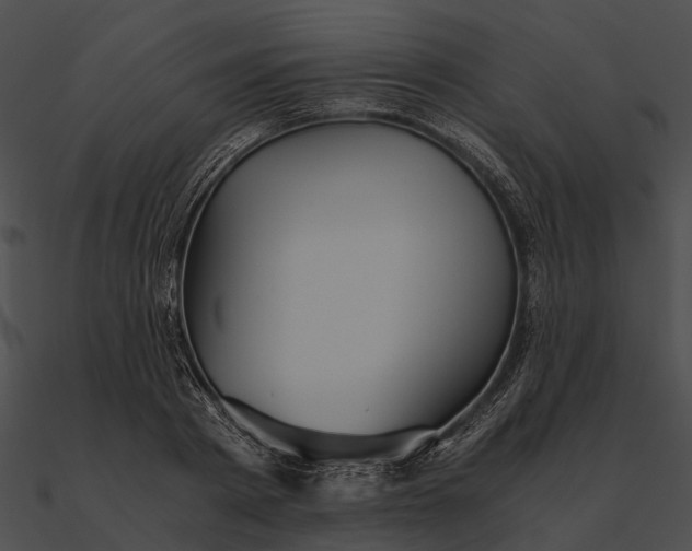 X0000090490793200708031146