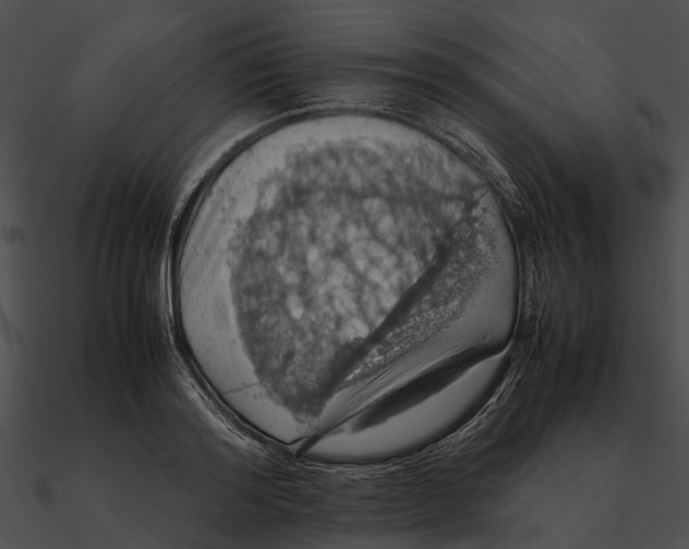 X0000090490796200708031145