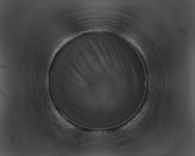 X0000090490797200708031145