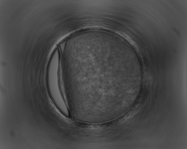 X0000090490799200708031145