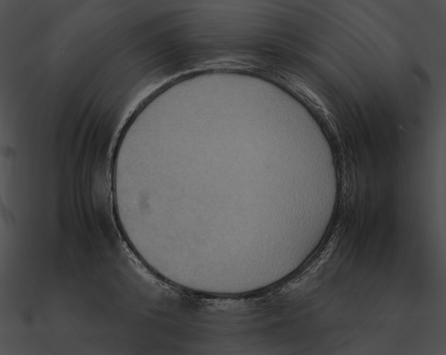 X0000090490800200708031145