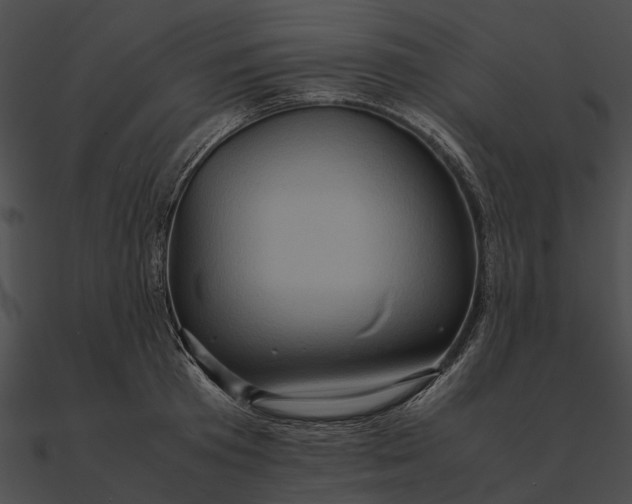 X0000090490801200708031145