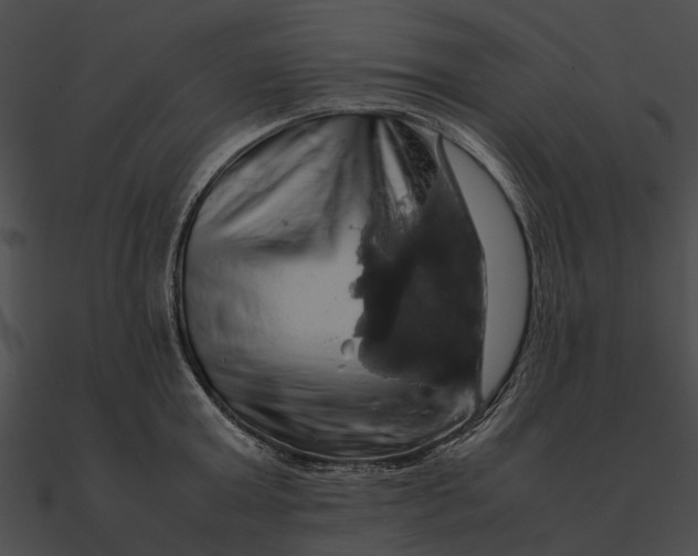 X0000090490803200708031145