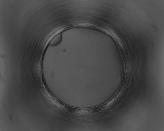 X0000090490806200708031145