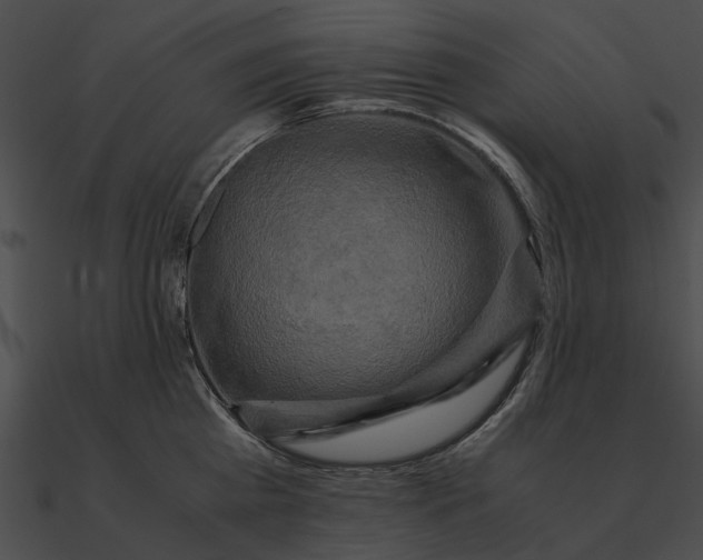 X0000090490809200708031145