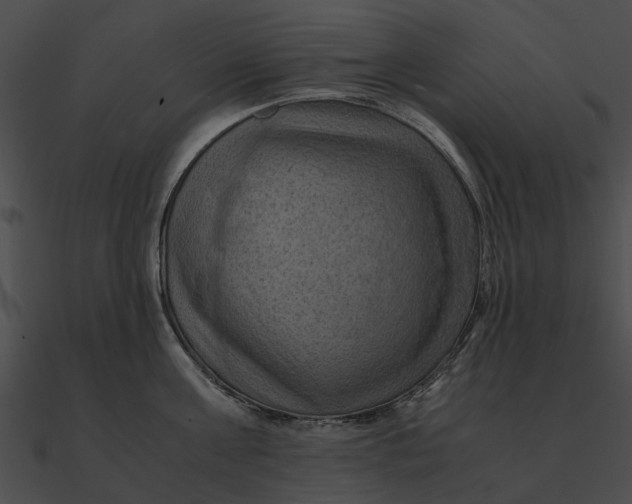 X0000090490811200708031145