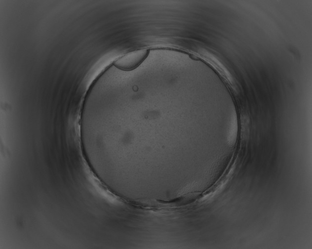 X0000090490814200708031145