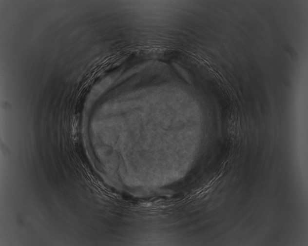 X0000090490818200708031144