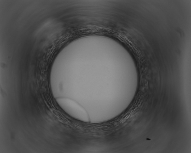 X0000090490820200708031144