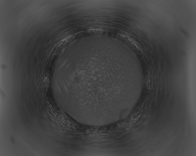 X0000090490821200708031144