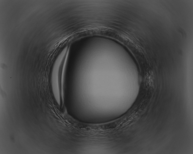 X0000090490822200708031144