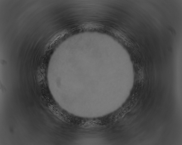 X0000090490824200708031145