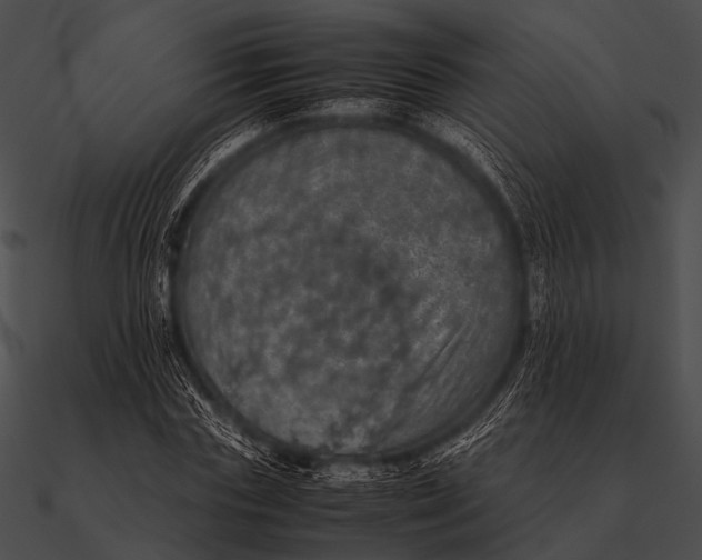 X0000090490827200708031145