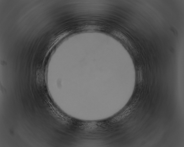 X0000090490828200708031145