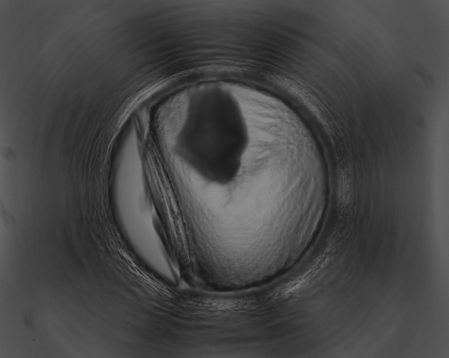 X0000090490829200708031145