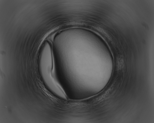 X0000090490830200708031145