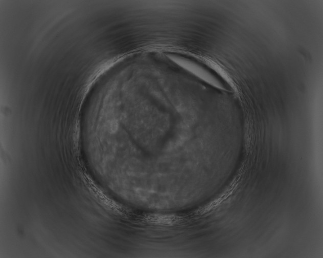 X0000090490831200708031145