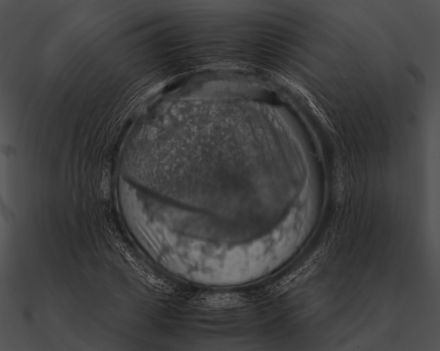 X0000090490833200708031145