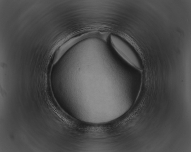 X0000090490834200708031145