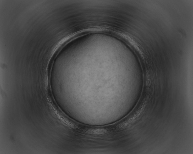 X0000090490837200708031145