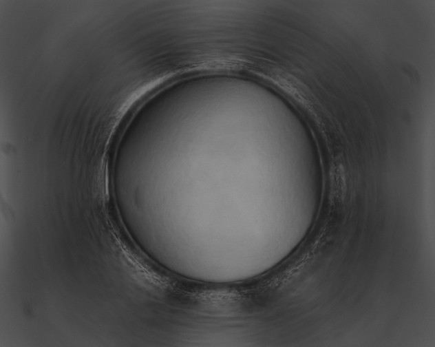 X0000090490838200708031145