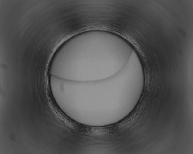 X0000090490840200708031145