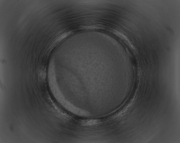 X0000090490841200708031145